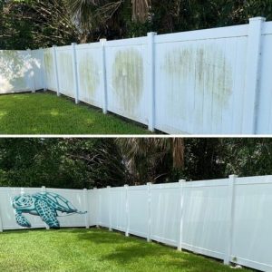Image of a white fence with algae stains. You can see the algae stains on thecenter ofthe fence line. You can also see the after image of the fence after it has been cleaned using low pressure.